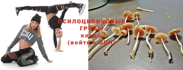 mix Протвино