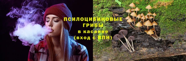 спиды Пролетарск