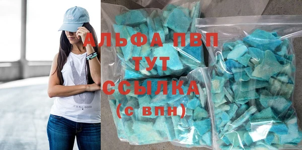 PSILOCYBIN Козловка