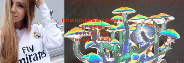 дмт Козельск